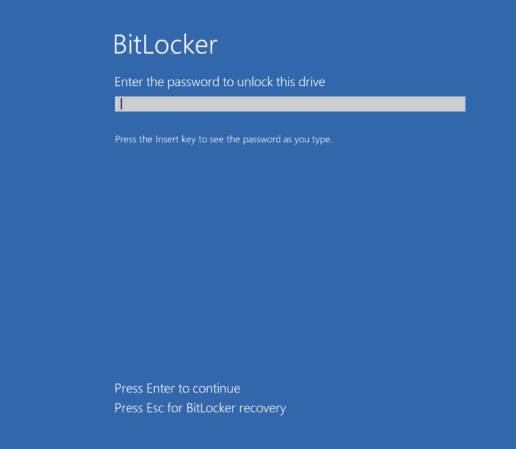 An image asking for Bitlocker password to start Windows 11 system