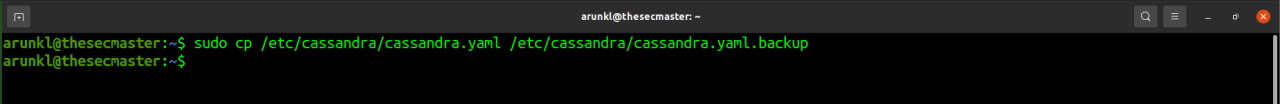 Back up your Cassandra configuration files