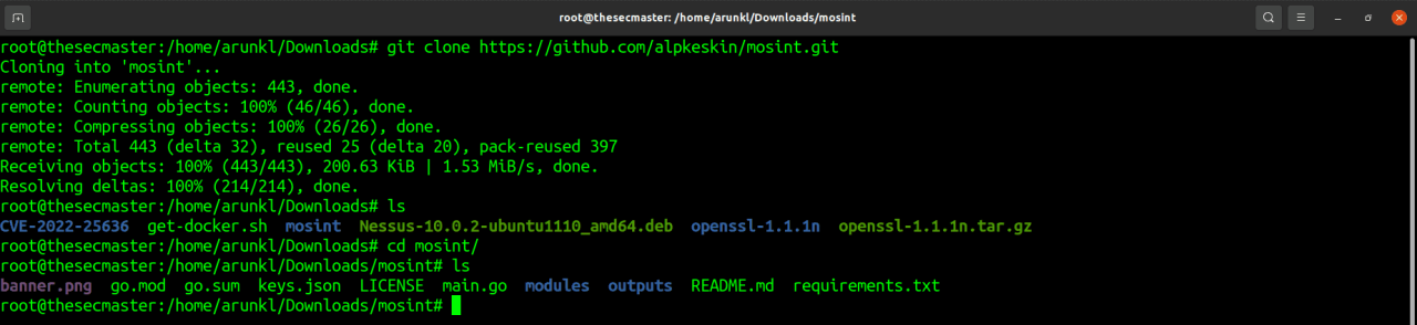 DownloadClone Mosint from Git