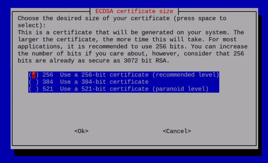 ECDSA certificate key size set up wizard