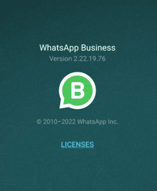 Image shows the Version Info of the WhatsApp