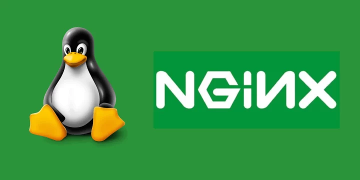 How to Disable TLS 1.0 and TLS 1.1 on Your Nginx Server?