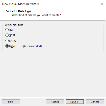 Select the disk type for the VM