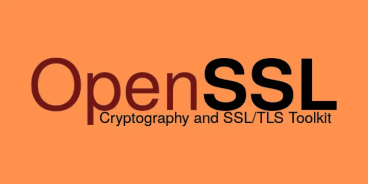 The Most Useful OpenSSL Commands to Work With SSL Certificates