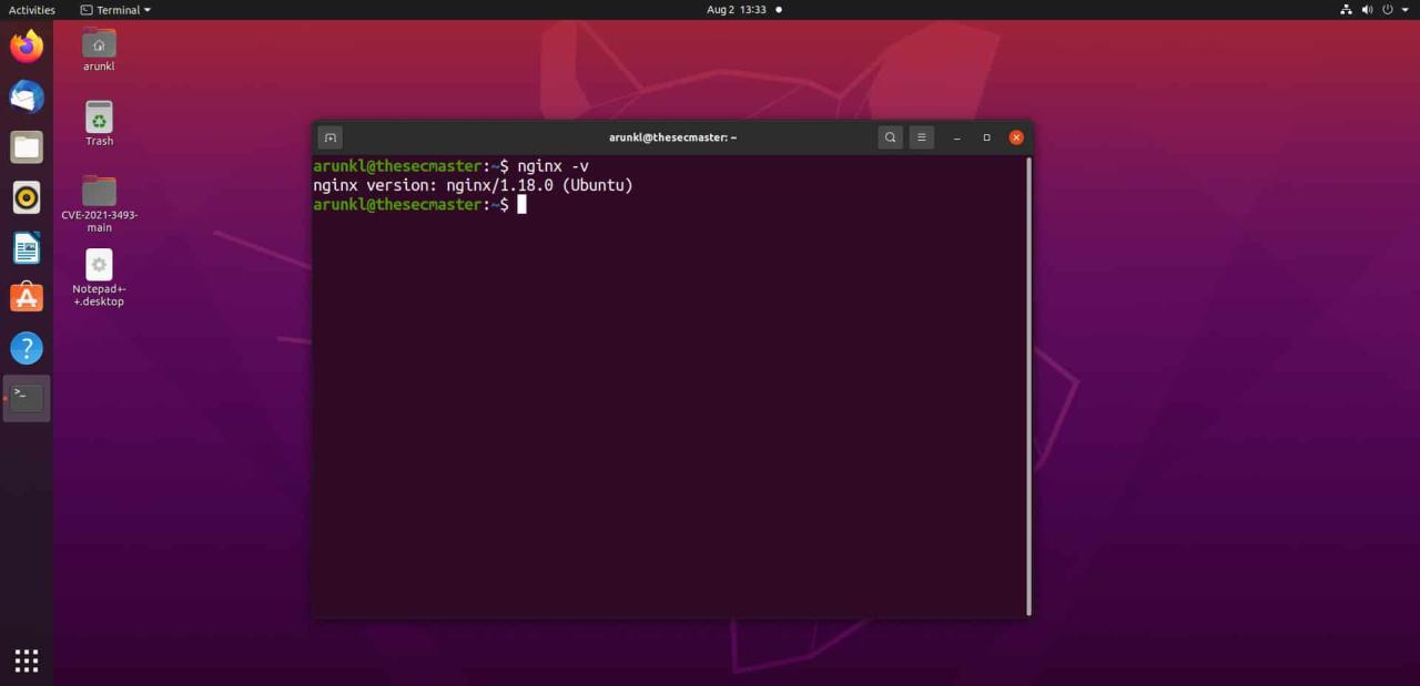 Verify the Installation of Nginx on Ubuntu